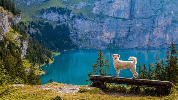 Découvrez les activités à faire au bord des lacs en Haute-Savoie